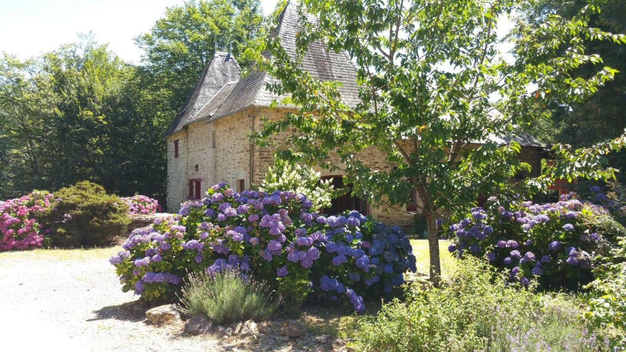 Chateau De Bellefond Lagrauliere Ngoại thất bức ảnh